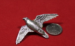 Значок "Сапсан" (B35)