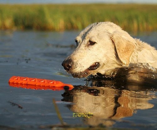 Поноска Avery Hexa Training Bumper 2" Поноска Avery Hexa Training Bumper 2"