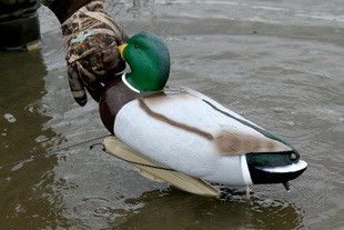 Чучела кряквы Flambeau (FLDD-6 )