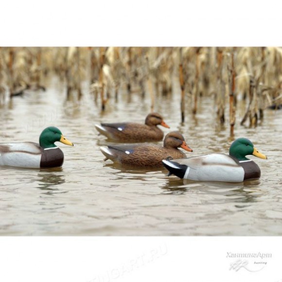 Чучела кряквы Flambeau (FLDD-6 )