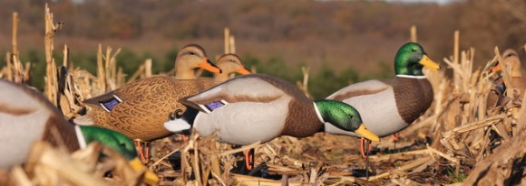 Чучелa кряквы полевые Flambeau Full Body