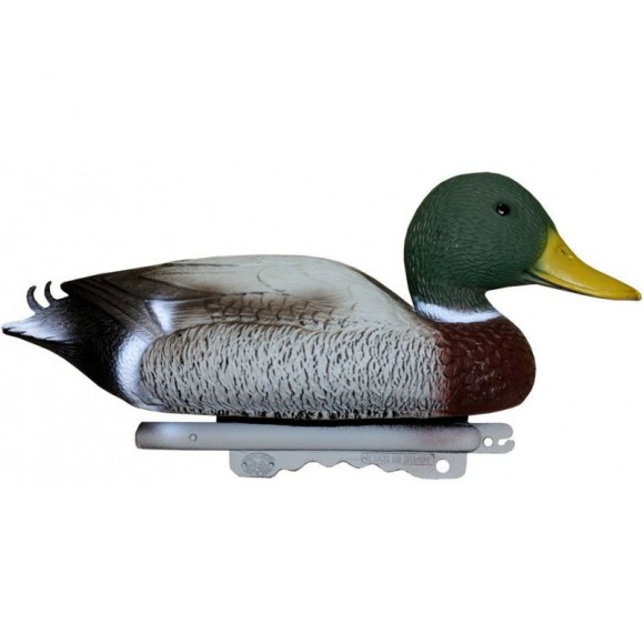 Опудало селезня крякви (LC 01)