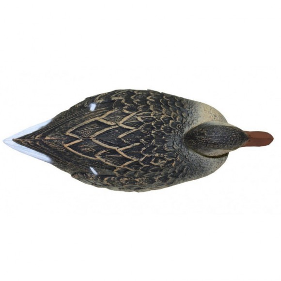 Опудало качки крякви (LC 02)