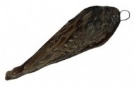 Поноска капля из крыльев фазана