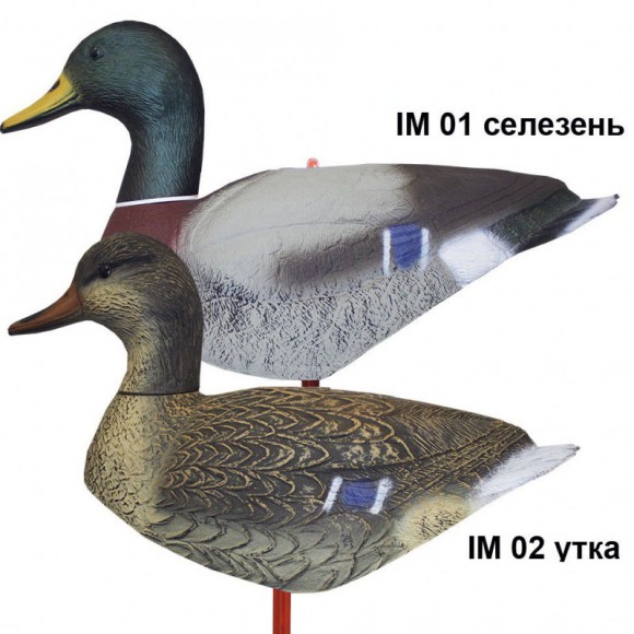 Чучела кряквы (IM 01-02)