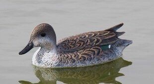 Опудало чирка SPORT PLAST (STD 21)