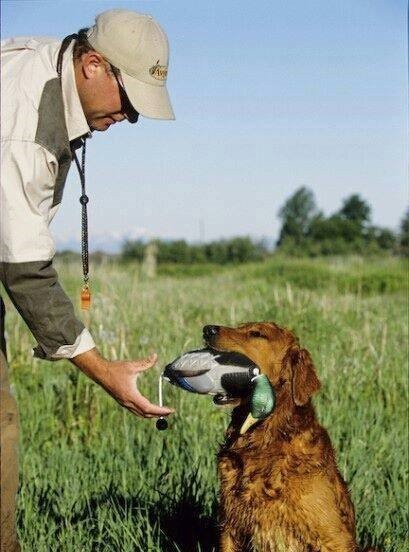 Поноска-кряква Avery EZ Bird Mallard Поноска-кряква Avery EZ Bird Mallard