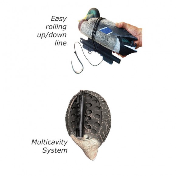 Червоноголовий нирок: качка або селезень (STD 07-08)