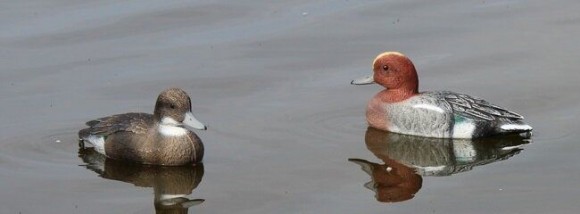 Опудала свіязі SPORT PLAST (STD 05-06)