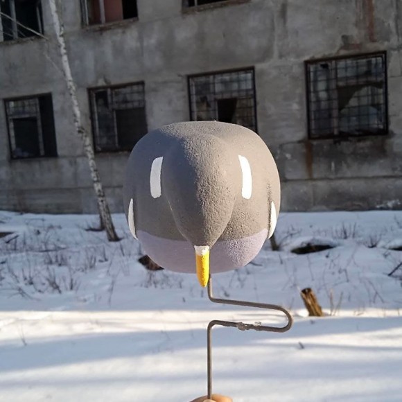 Опудало вяхира, що годується. Україна.