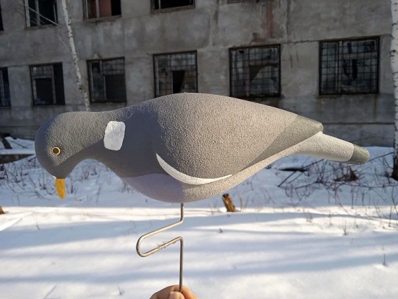 Опудало вяхира, що годується. Україна.