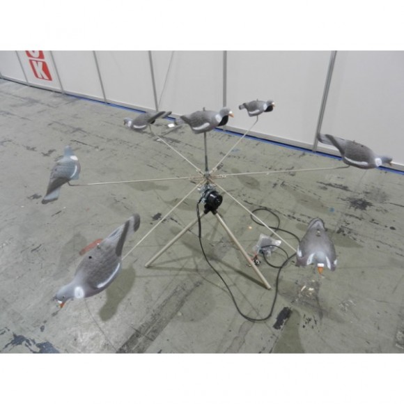 Голубиный хоровод Голубиный хоровод