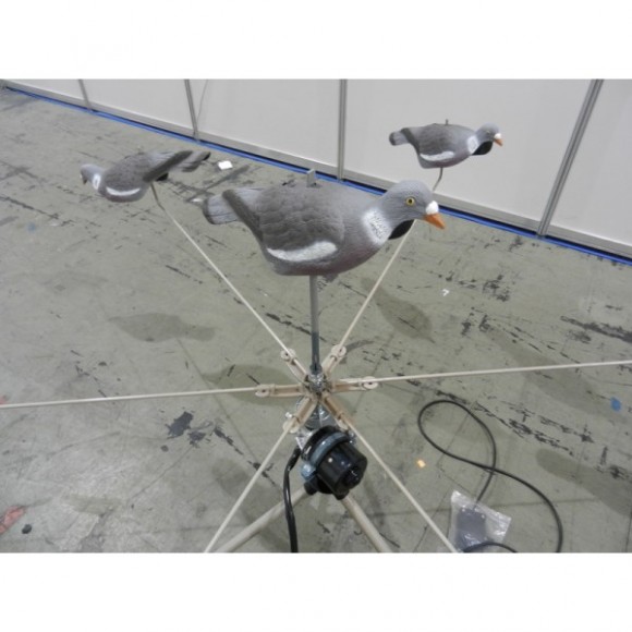 Голубиный хоровод Голубиный хоровод