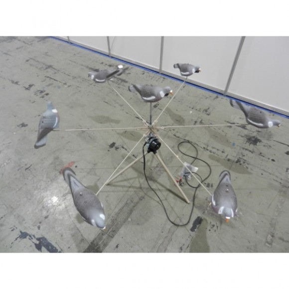 Голубиный хоровод Голубиный хоровод