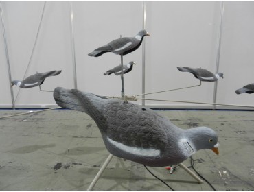 Голубиный хоровод Голубиный хоровод