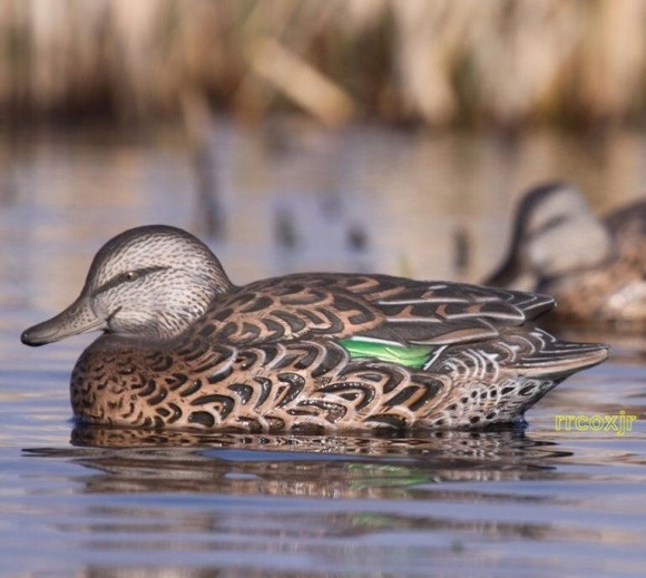 Чучела чирка свистунка (GGTIAL-6)