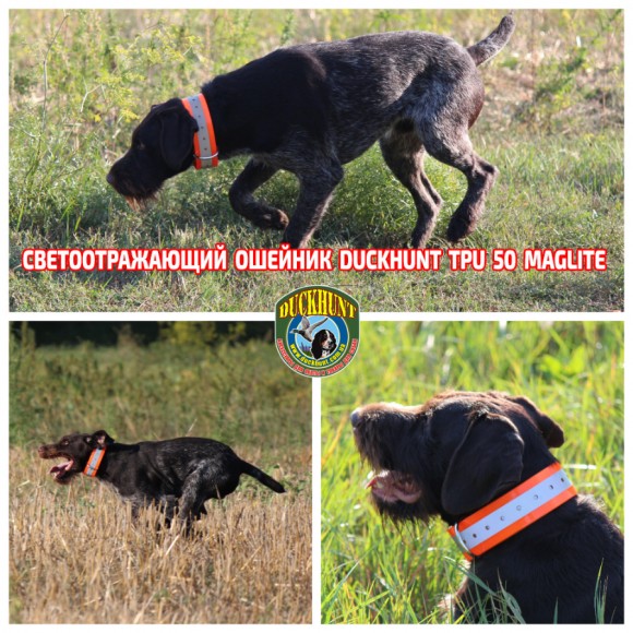 Нашийник TPU 50 MAGLITE Нашийник TPU 50 MAGLITE