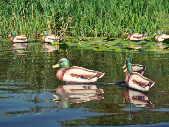 Профиля Андреевские Селезень