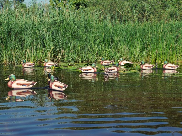 Профиля Андреевские Селезень