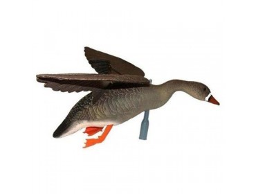 Гусь Белолобый с крыльями. Гусь Белолобый с крыльями.