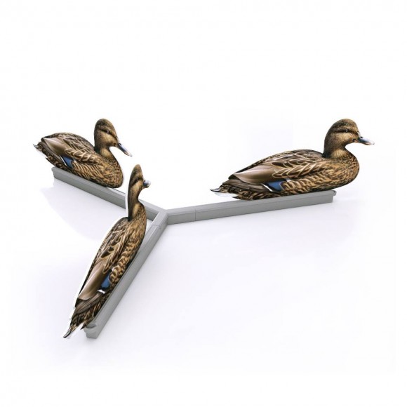 Профиля Андреевские Утка Кряква