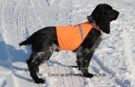 Сигнальный жилет Safety Dog Vest
