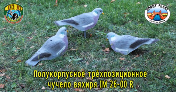 Опудало вяхира IM 26-00 R