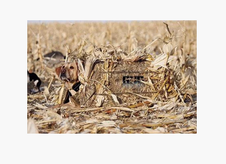 Скрадок для собак GHG Force Dog Blind Скрадок для собак GHG Force Dog Blind