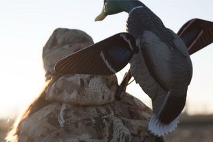 Опудало селезня Lucky HD Drake