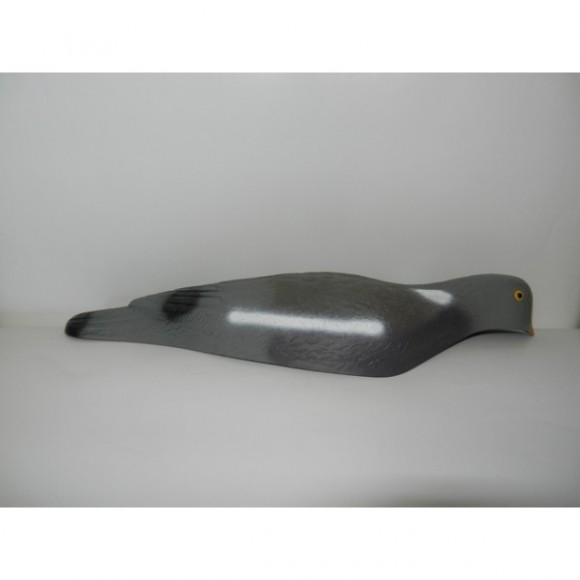 Опудала голуба (комплект з 6 опудал вяхира) 