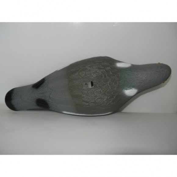 Опудала голуба (комплект з 6 опудал вяхира) 