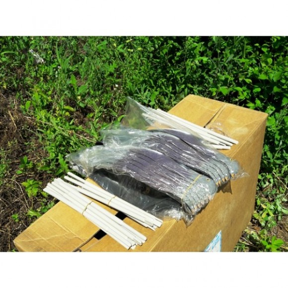 Опудала голуба (комплект з 6 опудал вяхира) 