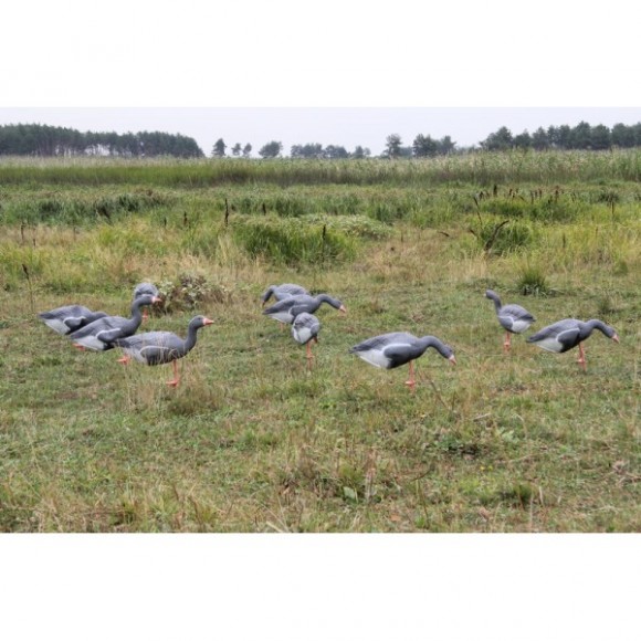 Гусь North Way классика (Комплект из 12 чучел) Гусь North Way классика (Комплект из 12 чучел)