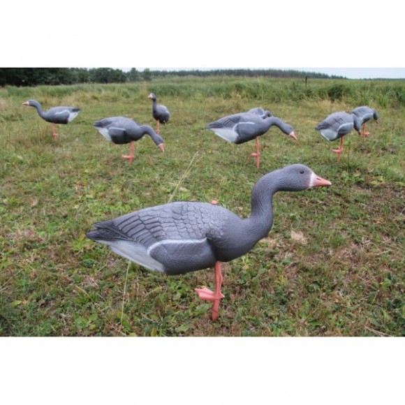 Гусь North Way классика (Комплект из 12 чучел) Гусь North Way классика (Комплект из 12 чучел)
