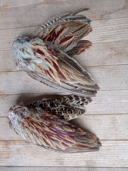 Поноска Крылья фазана (пара)