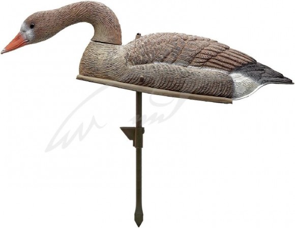 Опудала білолобого гусака (SH2P240). Копмлект 6 шт