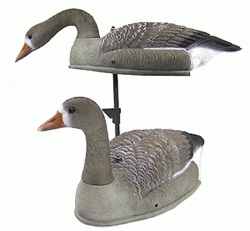 Опудала білолобого гусака (SH2P240). Копмлект 6 шт