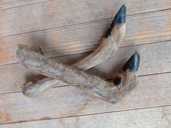 Ножка козлика для апортировки