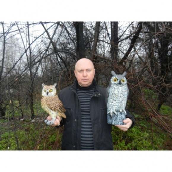 Опудало сови