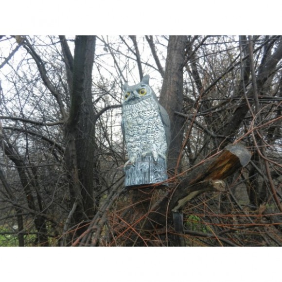 Опудало пугача