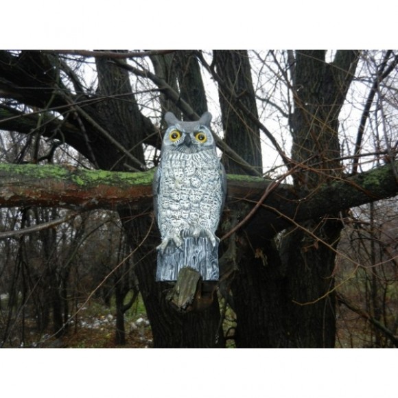 Опудало пугача