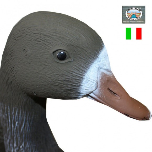 Опудало білолобого гусака (FL540)