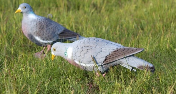 Опудало Вяхира (26-00F)