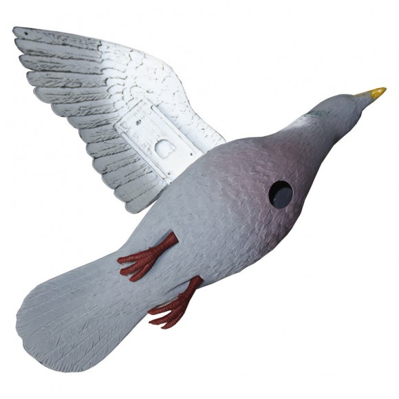 Опудала вяхира (FL 210 FB)