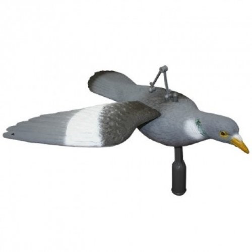 Опудала вяхира (FL 210 FB)