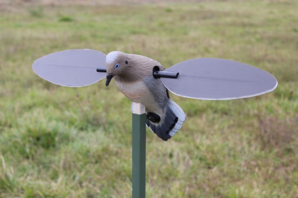 Опудало горлиці  Mojo Voodoo Dove