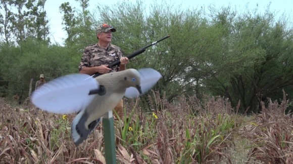 Опудало горлиці  Mojo Voodoo Dove