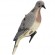 Опудала горлиці Lucky Duck Dove. Комплект 4 шт (LD4)