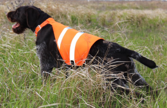 Сигнальный жилет Dog Ripstop Vest