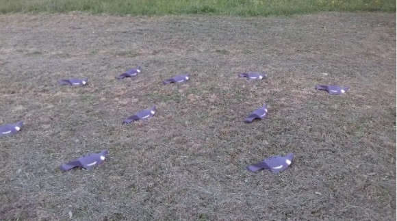 Опудала вяхира (IM-208) (Комплект 12 штук)